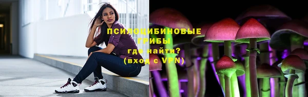 соль ск Пролетарск